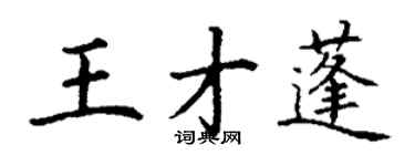 丁谦王才蓬楷书个性签名怎么写
