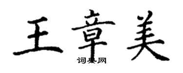 丁谦王章美楷书个性签名怎么写