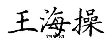 丁谦王海操楷书个性签名怎么写