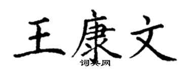 丁谦王康文楷书个性签名怎么写