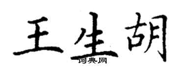 丁谦王生胡楷书个性签名怎么写