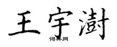 丁谦王宇澍楷书个性签名怎么写