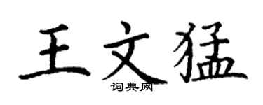 丁谦王文猛楷书个性签名怎么写