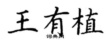 丁谦王有植楷书个性签名怎么写