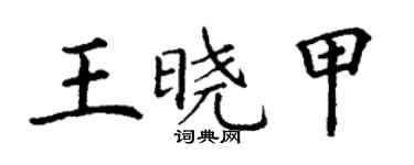 丁谦王晓甲楷书个性签名怎么写