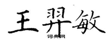 丁谦王羿敏楷书个性签名怎么写