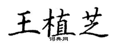 丁谦王植芝楷书个性签名怎么写