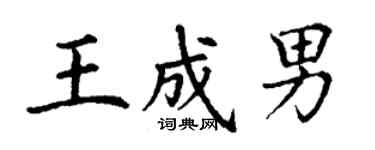 丁谦王成男楷书个性签名怎么写