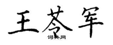 丁谦王苓军楷书个性签名怎么写