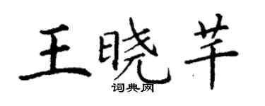丁谦王晓芊楷书个性签名怎么写