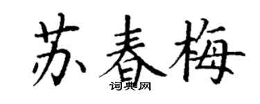 丁谦苏春梅楷书个性签名怎么写