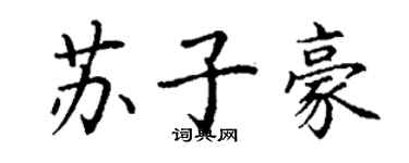 丁谦苏子豪楷书个性签名怎么写