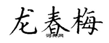 丁谦龙春梅楷书个性签名怎么写