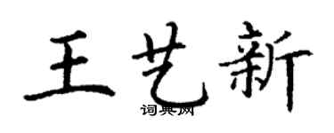 丁谦王艺新楷书个性签名怎么写