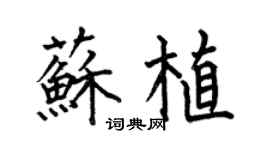 何伯昌苏植楷书个性签名怎么写