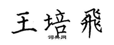 何伯昌王培飞楷书个性签名怎么写