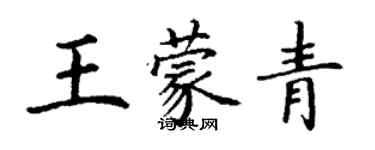 丁谦王蒙青楷书个性签名怎么写
