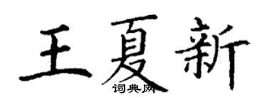 丁谦王夏新楷书个性签名怎么写