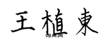 何伯昌王植东楷书个性签名怎么写