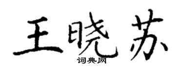 丁谦王晓苏楷书个性签名怎么写