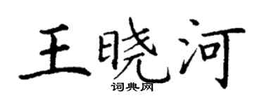 丁谦王晓河楷书个性签名怎么写