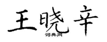 丁谦王晓辛楷书个性签名怎么写