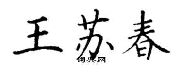 丁谦王苏春楷书个性签名怎么写