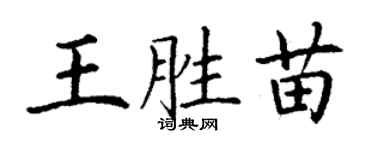 丁谦王胜苗楷书个性签名怎么写