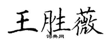 丁谦王胜薇楷书个性签名怎么写