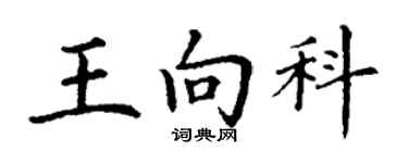 丁谦王向科楷书个性签名怎么写