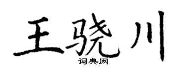丁谦王骁川楷书个性签名怎么写