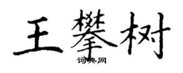 丁谦王攀树楷书个性签名怎么写