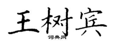 丁谦王树宾楷书个性签名怎么写