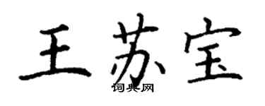 丁谦王苏宝楷书个性签名怎么写