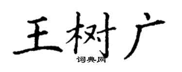 丁谦王树广楷书个性签名怎么写