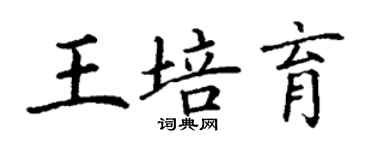 丁谦王培育楷书个性签名怎么写