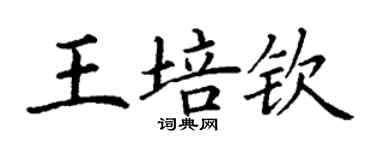 丁谦王培钦楷书个性签名怎么写