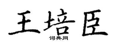 丁谦王培臣楷书个性签名怎么写