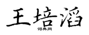 丁谦王培滔楷书个性签名怎么写