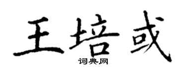 丁谦王培或楷书个性签名怎么写