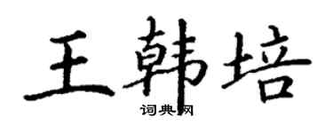 丁谦王韩培楷书个性签名怎么写