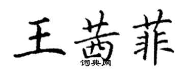 丁谦王茜菲楷书个性签名怎么写