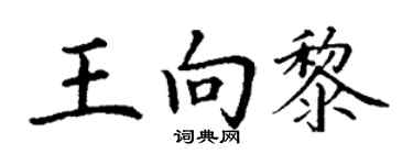 丁谦王向黎楷书个性签名怎么写