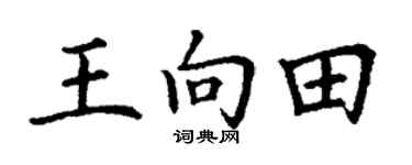 丁谦王向田楷书个性签名怎么写