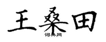 丁谦王桑田楷书个性签名怎么写