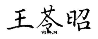 丁谦王苓昭楷书个性签名怎么写