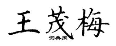 丁谦王茂梅楷书个性签名怎么写