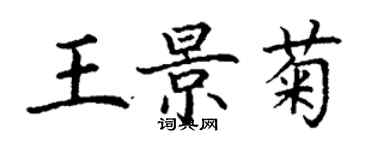 丁谦王景菊楷书个性签名怎么写