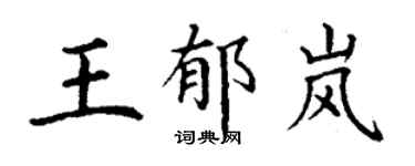 丁谦王郁岚楷书个性签名怎么写