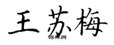 丁谦王苏梅楷书个性签名怎么写